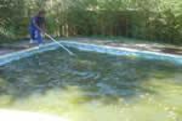 A - Swimline