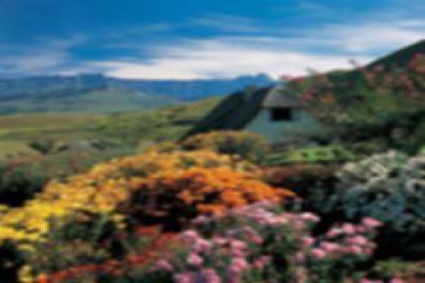 Hlalanathi Berg Resort