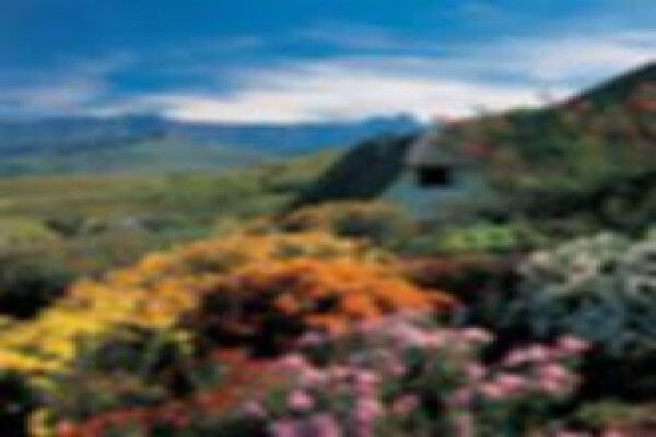 Hlalanathi Berg Resort