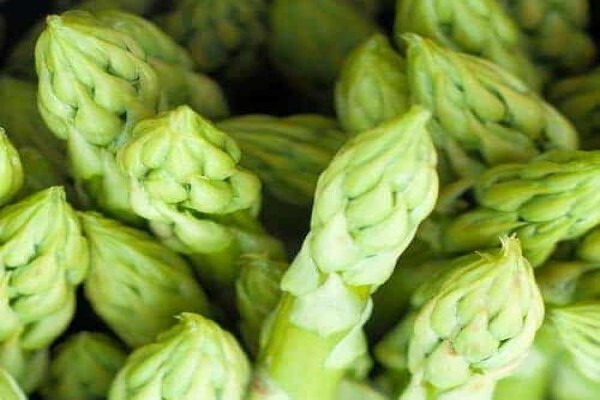 Crisp Fine Produce