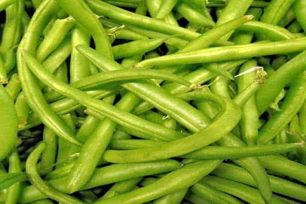 Crisp Fine Produce