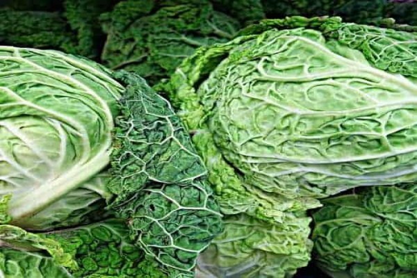 Crisp Fine Produce