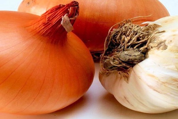 Crisp Fine Produce