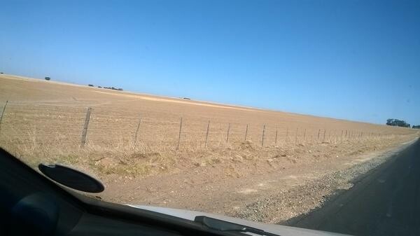 Democratic Alliance:BRANCH OFFICES:Durbanville