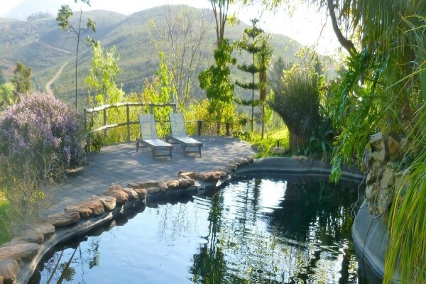 Porcupine Hills Guest Farm