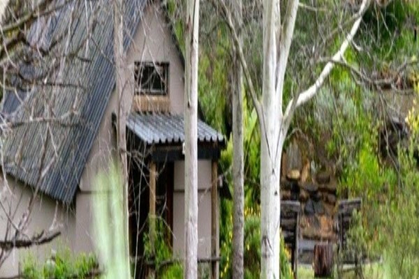 Porcupine Hills Guest Farm