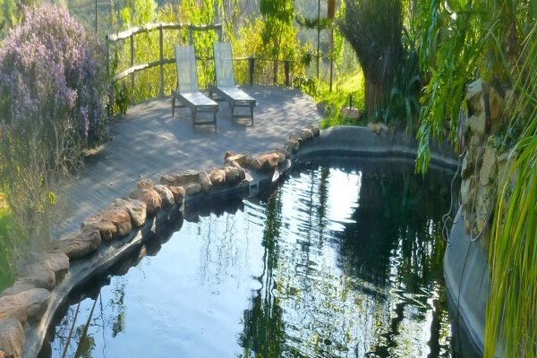 Porcupine Hills Guest Farm