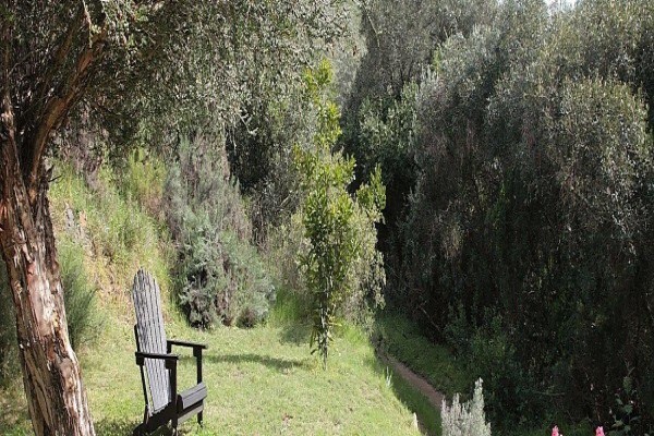 Porcupine Hills Guest Farm
