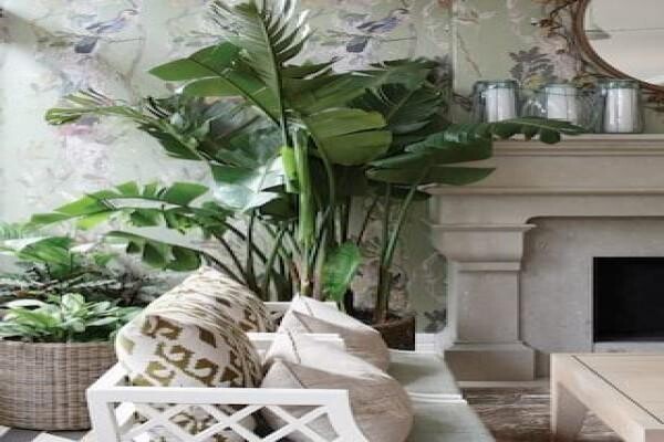 Hotel Mount Nelson:Restaurant Reservations