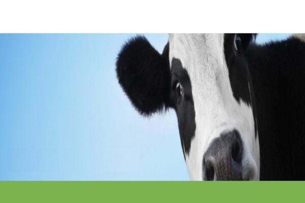 Milk Producers' Organisation
