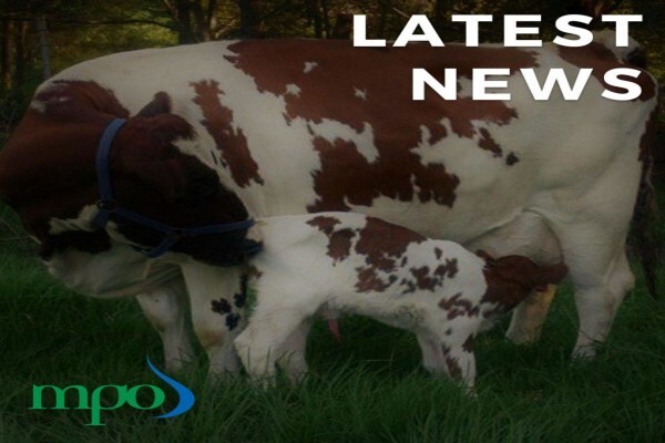 Milk Producers' Organisation