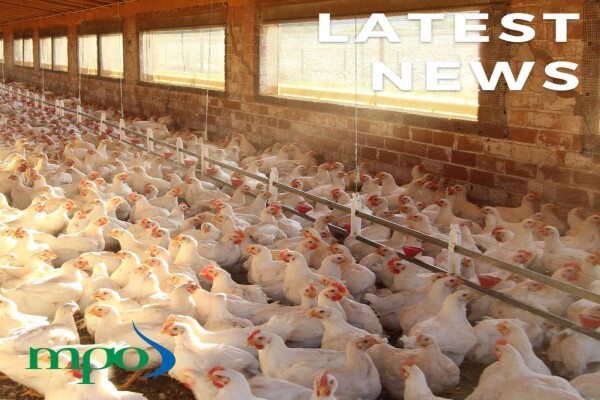 Milk Producers' Organisation