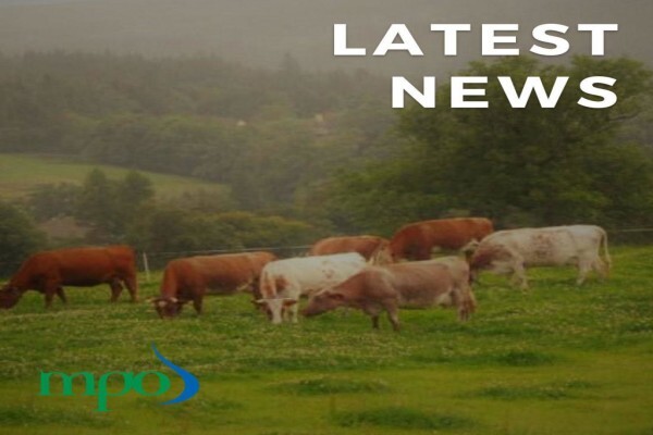Milk Producers' Organisation