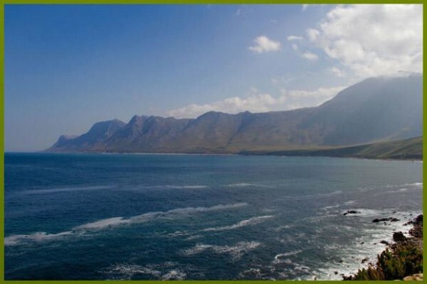 Treetops Guest House