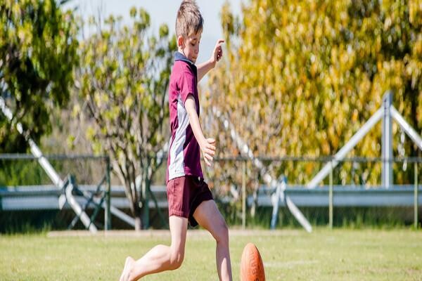 Welgemoed Laerskool