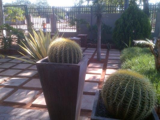 Matoppi Guest House