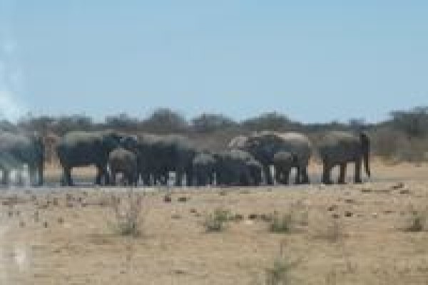 African End Tours