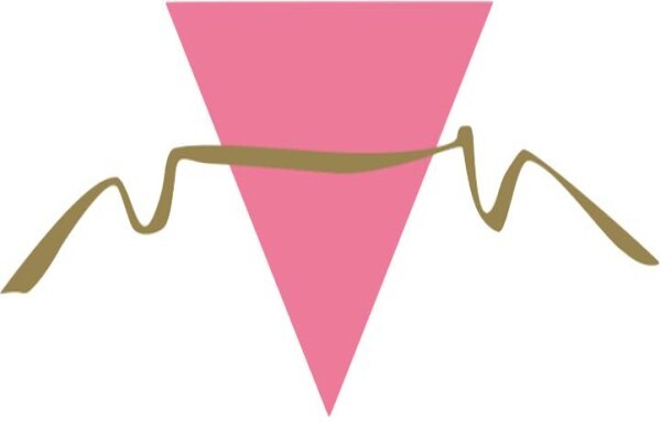 Triangle Project