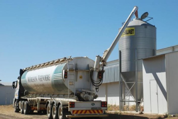 Moreson Pluimvee Boerderyen Tequila Hondekos