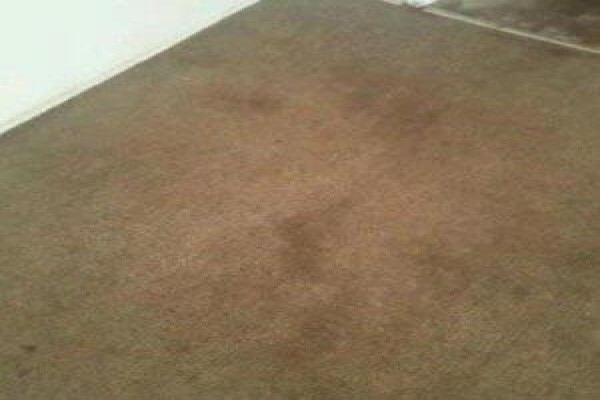 JNB Carpet Cleaners