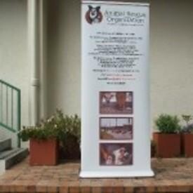 Bergvliet Primary School