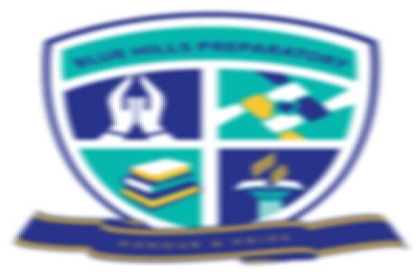 Blue Hills College (Pty) Ltd