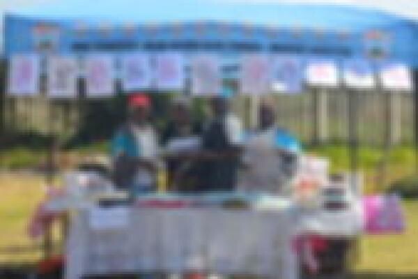 Blue Hills College (Pty) Ltd