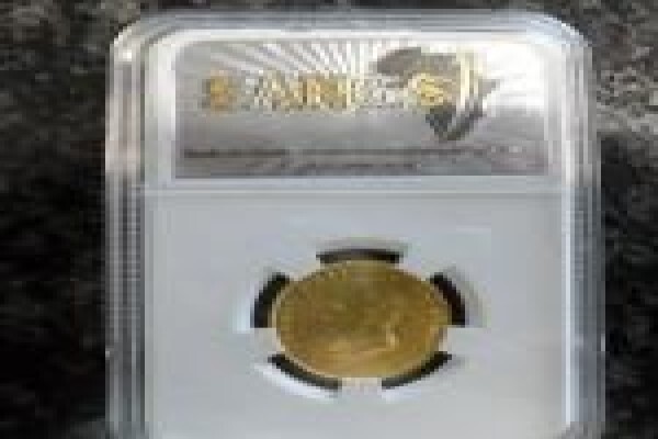 SANGS (Pty) Ltd