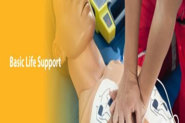 Allmed Healthcare Professionals
