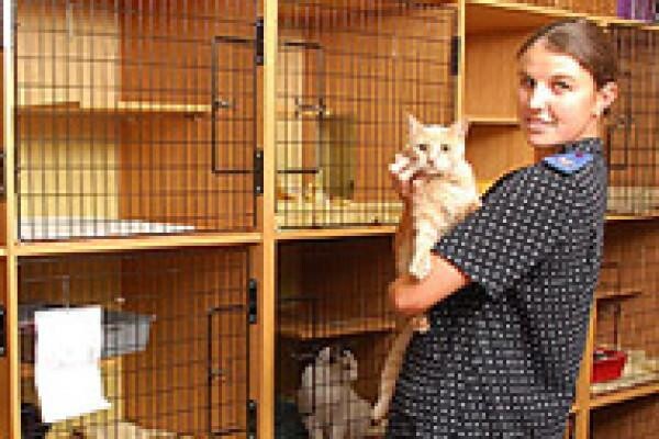 Tygerberg Animal Hospital