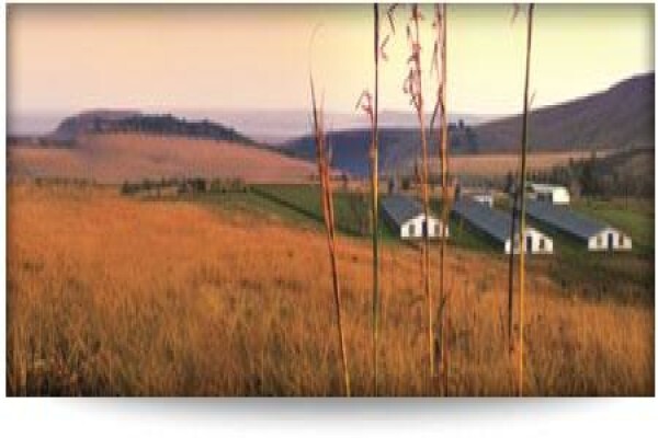 Earlybird Farm