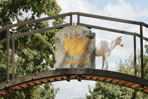 Fairview Wine & Cheese:Goatshed Restaurant