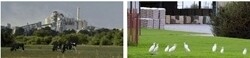 Lafarge Readymix