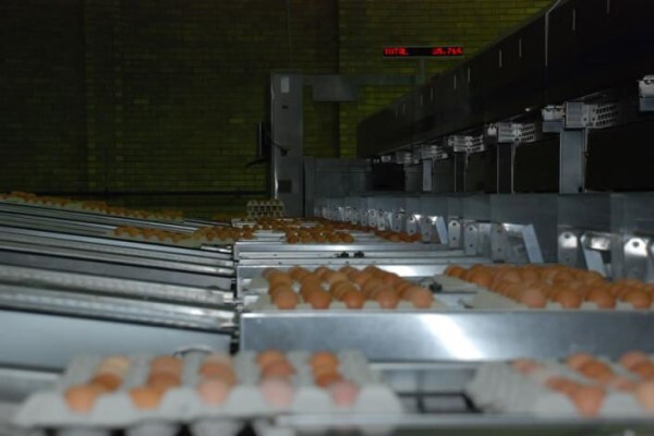 Moreson Pluimvee Boerdery (Edms) Bpk:Eienaar Sel