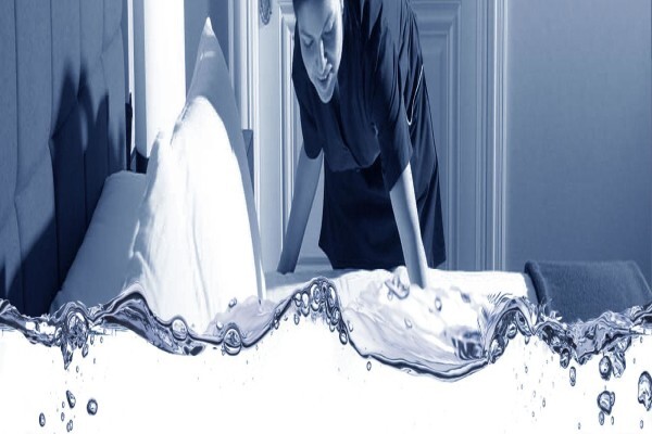 Lead Laundry & Catering