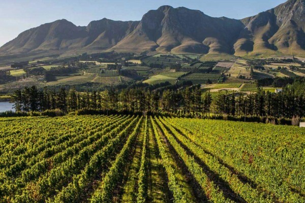 Newton Johnson Wines (Pty) Ltd:Office