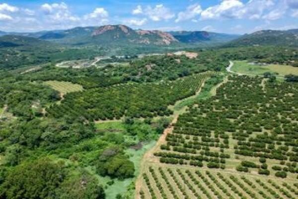 Sotheby's International Realty Lew Geffen