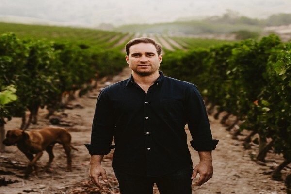 Saxenburg Wine Farm