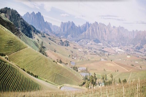 Saxenburg Wine Farm