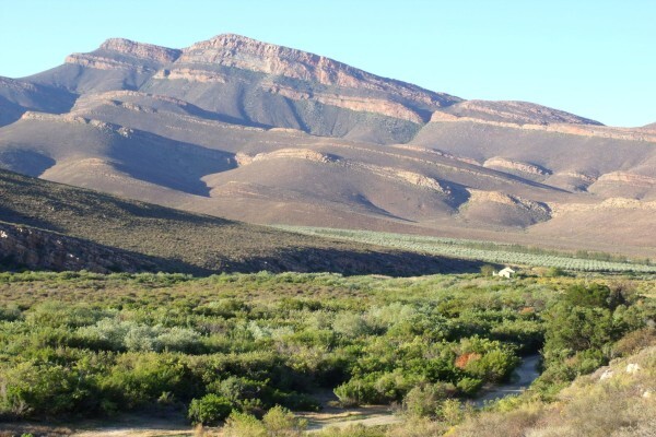 Landscape Tours CC