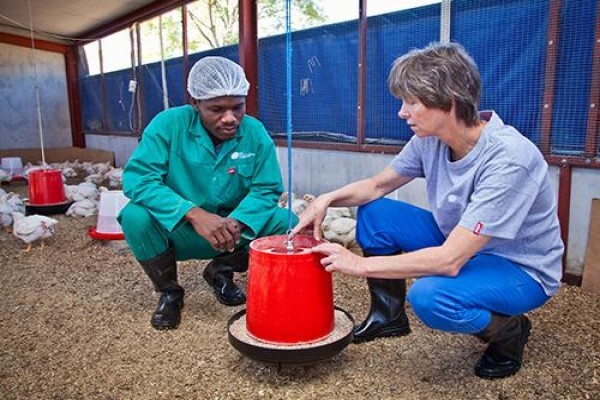 Kwazulu-Natal Poultry Institute