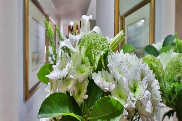 St Andrews Garden Bed & Breakfast