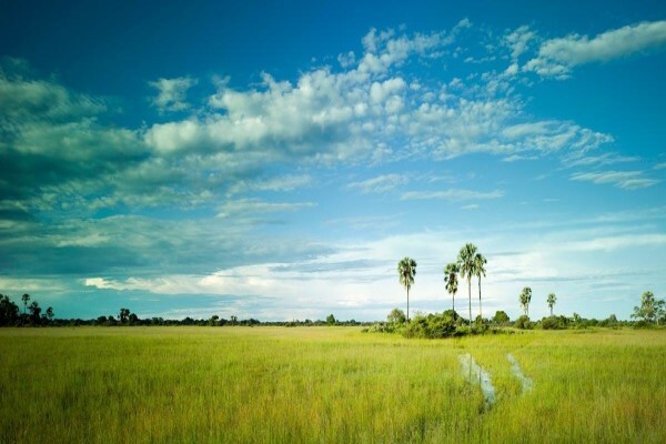Abercombie & Kent Safaris