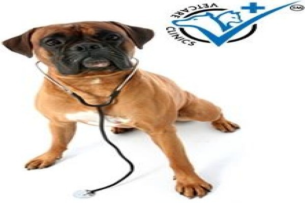 Honeyridge Veterinary Clinic