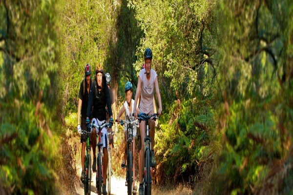 Cape Town Cycles