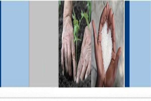 National Renal Care
