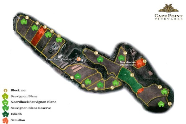 Cape Point Vineyards (Pty) Ltd