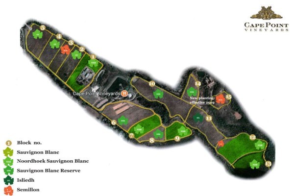 Cape Point Vineyards (Pty) Ltd