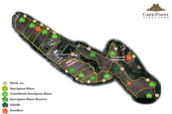 Cape Point Vineyards (Pty) Ltd