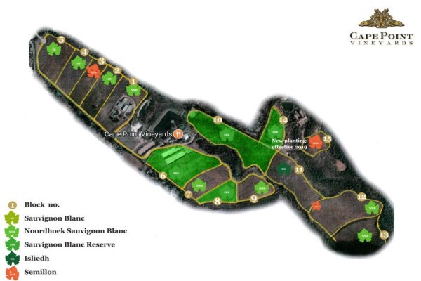 Cape Point Vineyards (Pty) Ltd